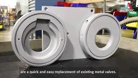 Asahi/America's Wafer Check Valves