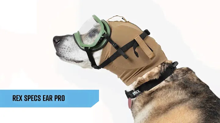 Rex Specs Ear Pro