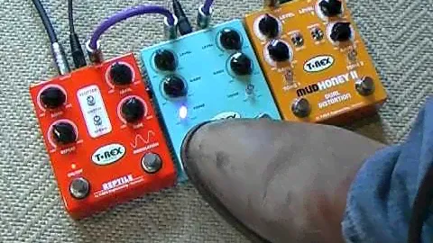 T-Rex Effects: Mudhoney II vs Dr Swamp (with Strat)