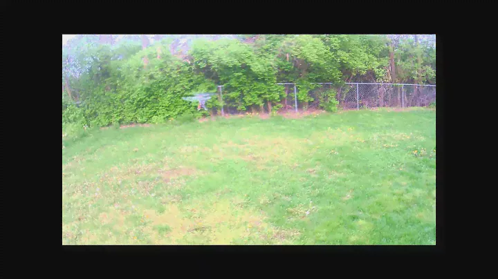 Align TRex 250 Flybar Performance Check