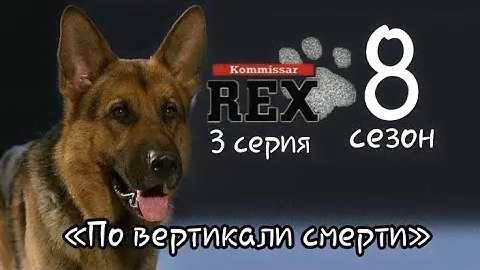 Комиссар Рекс, 8 сезон, 3 серия «По вертикали смерти» (2002)