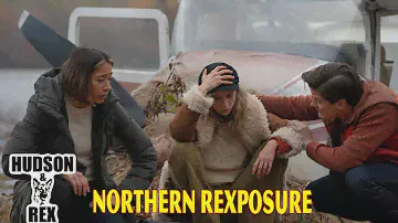 Hudson and Rex New 2024 🦮🦮 Northern Rexposure 🦮🦮 Best American Police Procedural Drama 2024