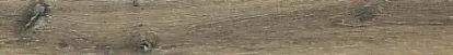 REX 755669 Planches De Rex Noisette Rett 15X120-0