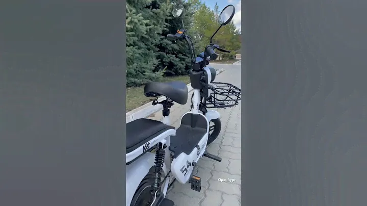Электроскутер Sky Way (T-Rex)