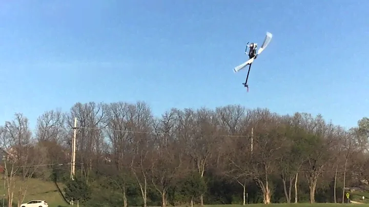 Trex 250 DFC | Micro 3D