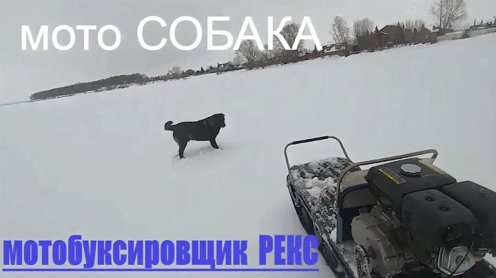 Буксировщик "РЕКС". Мокрый снег.Засадил мотособаку