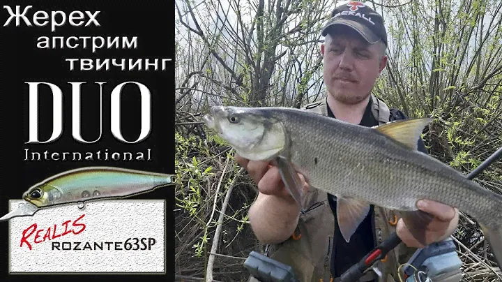 Жерех на DUO Realis Rozante 63 SP