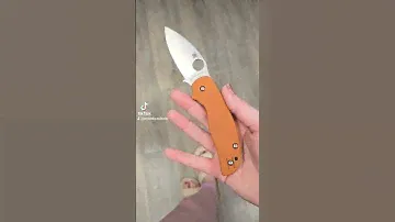 Spyderco Sage 5🔥 #knivesout #edclifestyle #pocketknife #edcknife #blade #everydaycarry #edccarry
