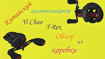 Yi Chao T-Rex. Китайский мультипликатор. Обзор из коробки.