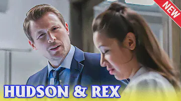 Hudson & Rex New Season 2024 🐕‍🦺 Finger Foodie 🐕‍🦺 Best Police Procedural Comedies