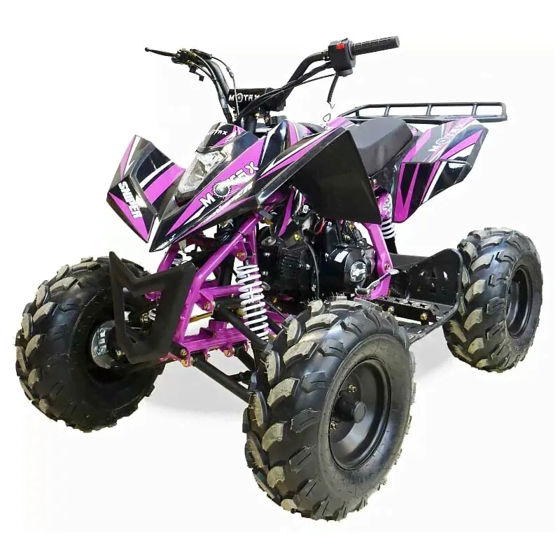 Квадроцикл MOTAX ATV T-Rex-LUX 125 (чёрно-фиолетовый)