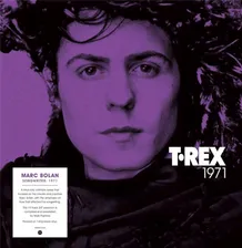 Виниловая пластинка T. Rex – 1971 2LP