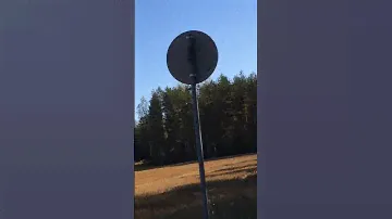 Попытка самоубийства с помощью t-rex 450