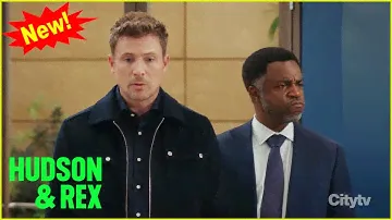 Hudson & Rex 2024 | The Art of the Steal | Hudson & Rex New Episodes 2024 Full HD