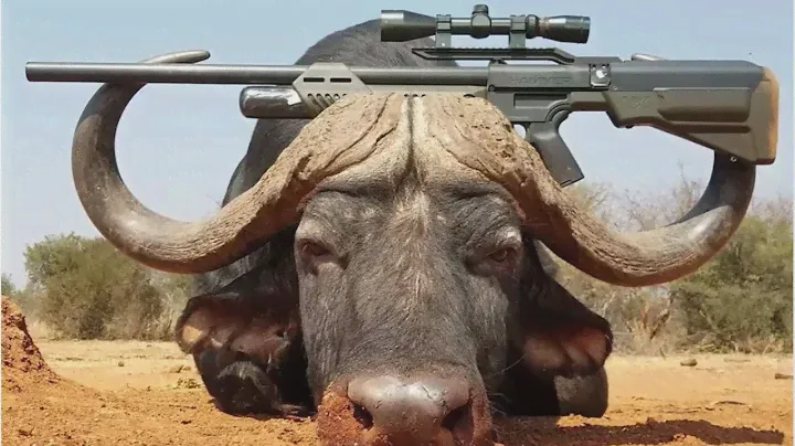 The most powerful PCP 2022 air rifle / umarex hammer / hunt / pcp / deer hunting / Buffalo hunting
