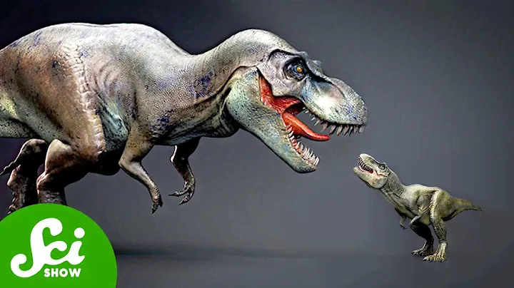 The Tiny T. rex Causing a Big Science Feud