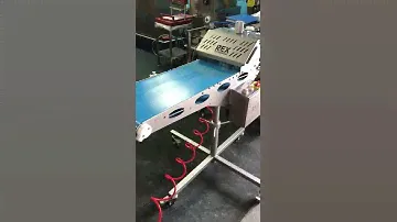 Rex 327 Vacuum Filler & RBF 125 Burger Former