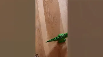 Zuru Robo Alive Attacking T-Rex Robotic Pet Gadget Review Short