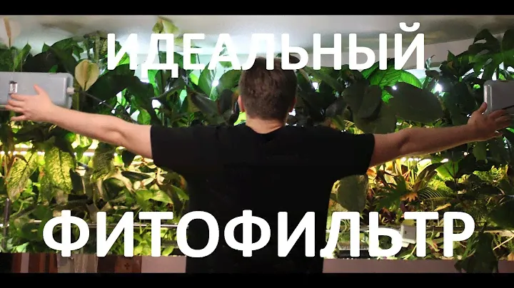 Идеальный Фитофильтр (Лампы FitoSun, удобрения,стрижка)