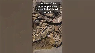 The Most Accurate Dinosaur Ever!