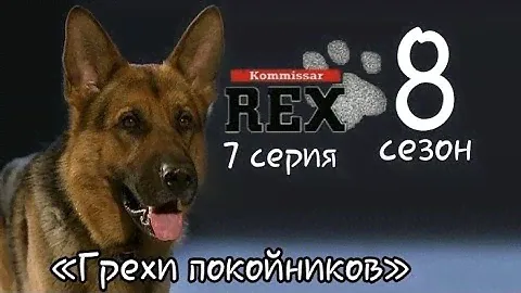 Комиссар Рекс, 8 сезон, 8 серия «Всегда умирает один»