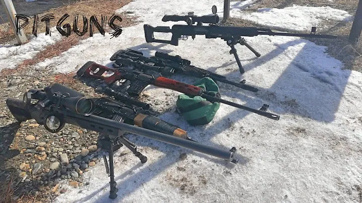 TG-3, TG-2, Тигр, Сайга, Remington... 100м