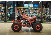Квадроцикл MOTAX ATV T-Rex Super LUX 50 (125) сс