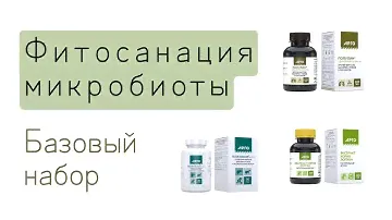 Фитосанация микробиоты | Нюансы базовой программы и подготовительной схемы применения фитопродукции.