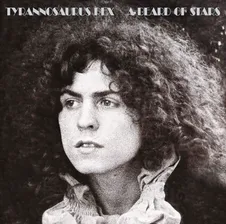 Tyrannosaurus Rex – A Beard Of Stars