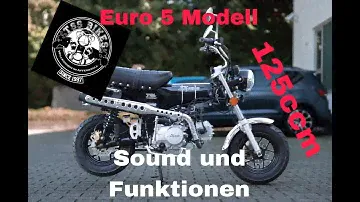Skyteam Skymax wie Honda Dax 125ccm Modell 2024 von TSS BIKES