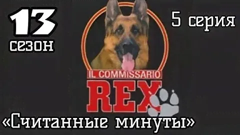 Комиссар Рекс, 13 сезон, 5 серия «Считанные минуты»