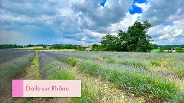 Appartement Etoile-sur-Rhône