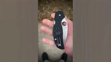 Spyderco Sage 5 lightweight #sharp #knives #spyderco #edc #asmr #knife #cut #blade #now #work #s5