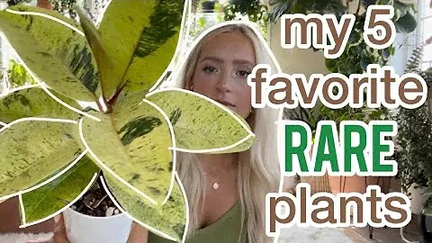 5 of my favorite ✨RARE PLANTS✨