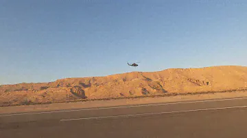 Align T-rex 500 - 3D Printed Cobra fuselage flight