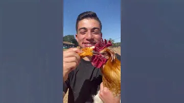 Eat A Chicken In Front Of A Chicken 🐔