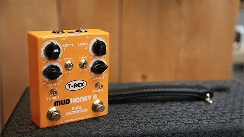 T-Rex Mudhoney II | Haar Guitars Demo
