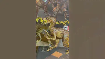 Dino Dream ‘Attack’ Raptor & Rebor Raptor ‘Winston’ 💯🥰 #dinosaur #jurassicpark #raptor