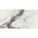 Rex Ceramiche (Италия) Etoile Rex Etoile Renoir Glossy Ret