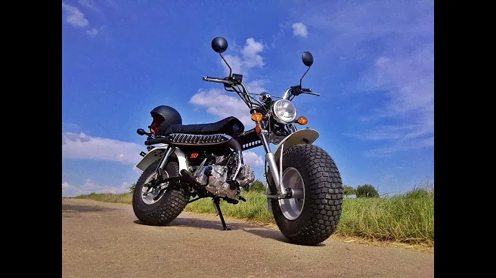 LE T-REX 160 YX DE RORO !