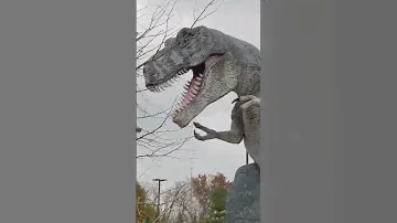 #fyp #youtubeshorts #foryou #dinosaur #dinosaurforkids #jurassicworld