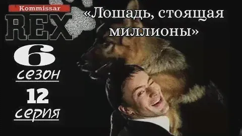 Комиссар Рекс, 6 сезон, 12 серия «Лошадь, стоящая миллионы»