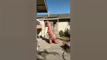 T-Rex birthday party!