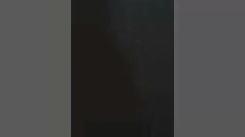 Мне прислали рюкзак с динозавром