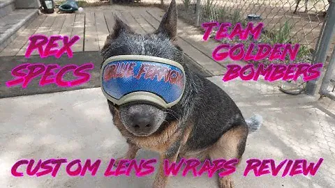 Custom Rex Specs Goggles Lens Wraps Unboxing & Review!