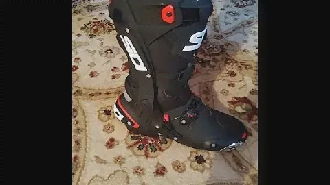 Sidi Rex