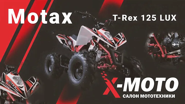 Обзор квадроцикла Motax T Rex 125 Lux