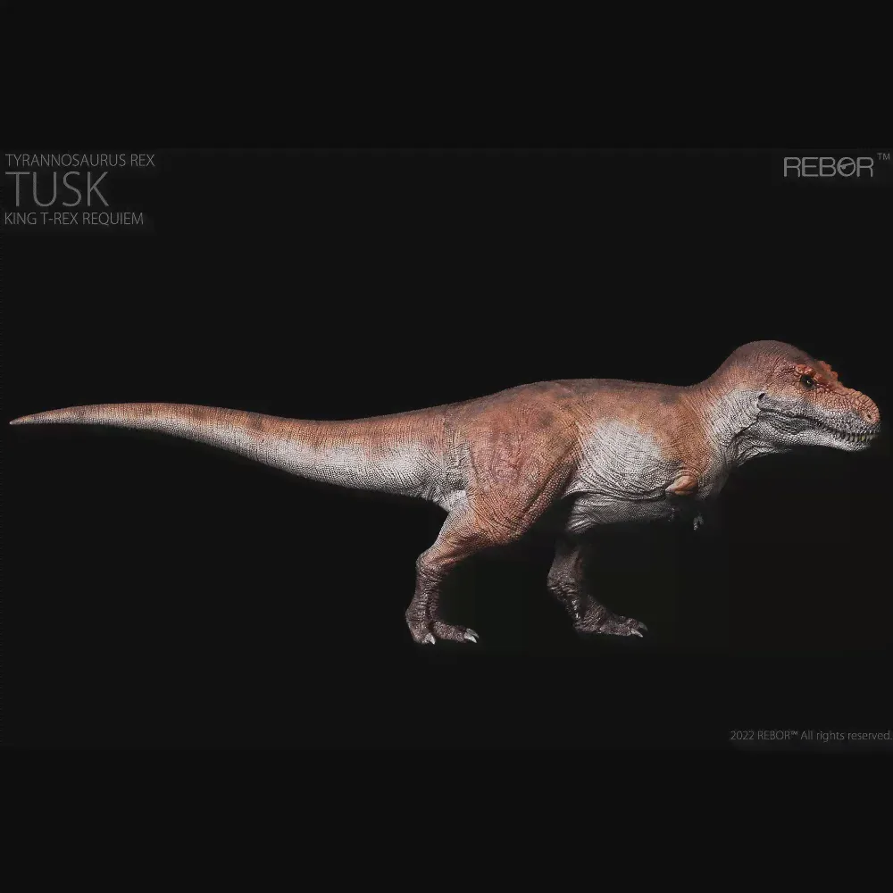 _ 1:35 Rebor Тираннозавр Рекс, поцелуй, гора, Туск, король, T-Rex реквием, модель динозавра, игрушка, Классические игрушки для мальчика (art.: 3920bd5e21313)