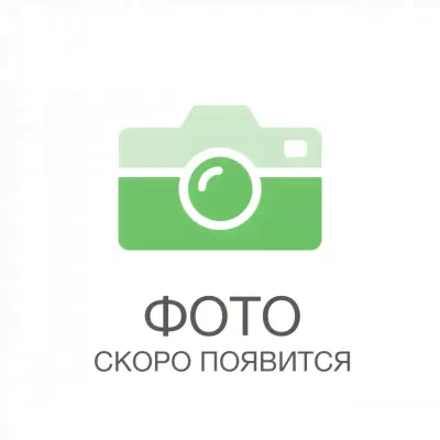 Катушка REX 3000 7+1 подшип (N-R3000) Nisus-0