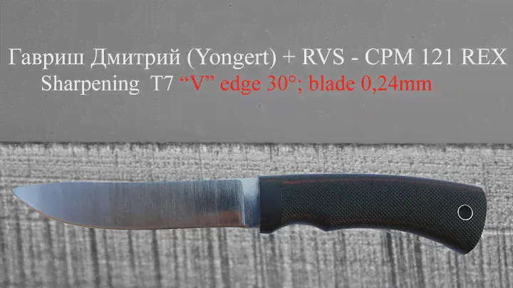 Гавриш Дмитрий (Yongert) + RVS - CPM REX 121 - 30°